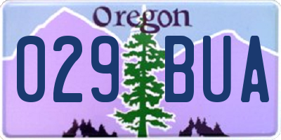 OR license plate 029BUA