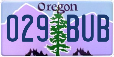 OR license plate 029BUB