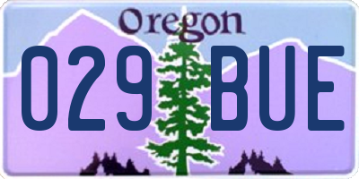 OR license plate 029BUE