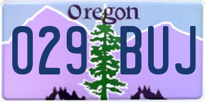 OR license plate 029BUJ