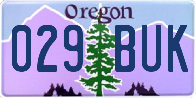 OR license plate 029BUK