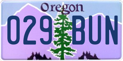OR license plate 029BUN