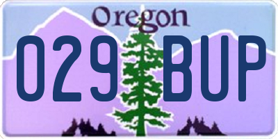 OR license plate 029BUP