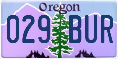 OR license plate 029BUR