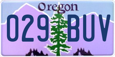 OR license plate 029BUV