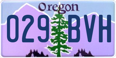 OR license plate 029BVH