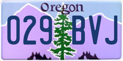 OR license plate 029BVJ