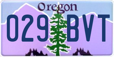 OR license plate 029BVT