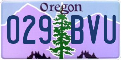 OR license plate 029BVU