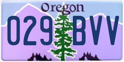 OR license plate 029BVV