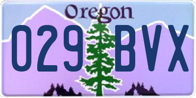 OR license plate 029BVX