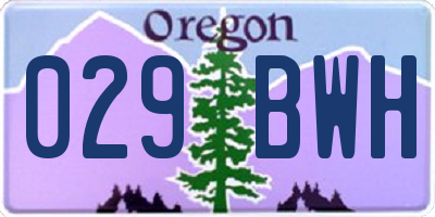 OR license plate 029BWH