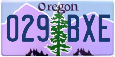 OR license plate 029BXE