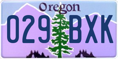 OR license plate 029BXK
