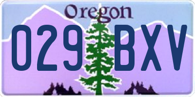OR license plate 029BXV