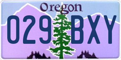 OR license plate 029BXY