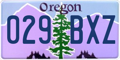 OR license plate 029BXZ