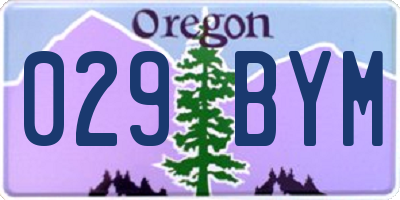 OR license plate 029BYM