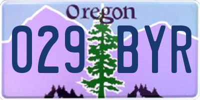 OR license plate 029BYR