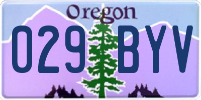 OR license plate 029BYV