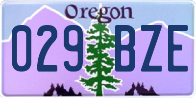 OR license plate 029BZE