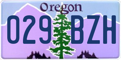 OR license plate 029BZH