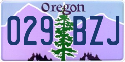 OR license plate 029BZJ