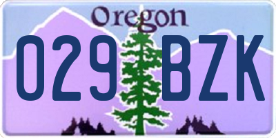 OR license plate 029BZK