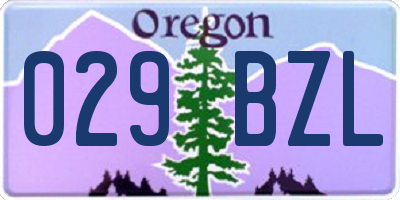 OR license plate 029BZL