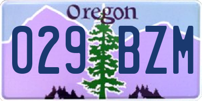 OR license plate 029BZM
