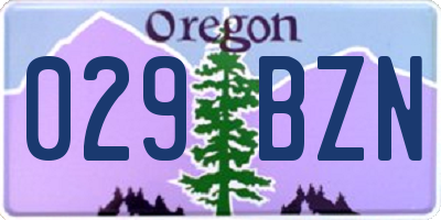 OR license plate 029BZN