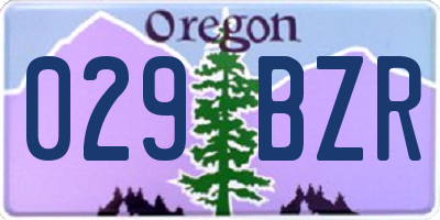 OR license plate 029BZR