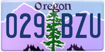 OR license plate 029BZU