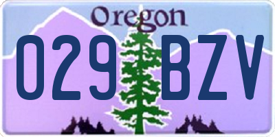 OR license plate 029BZV