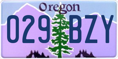 OR license plate 029BZY
