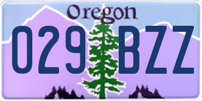 OR license plate 029BZZ