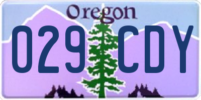 OR license plate 029CDY
