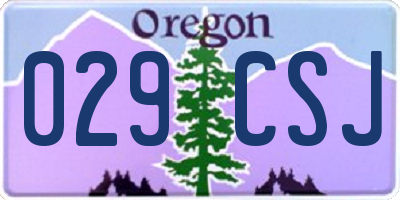 OR license plate 029CSJ