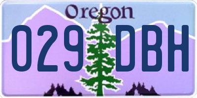 OR license plate 029DBH
