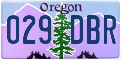 OR license plate 029DBR