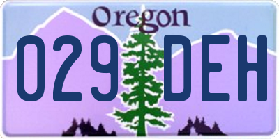 OR license plate 029DEH