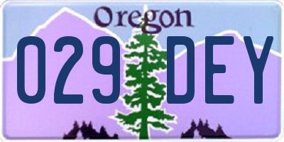 OR license plate 029DEY
