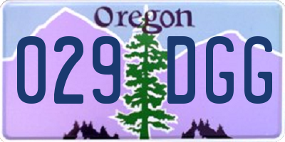 OR license plate 029DGG