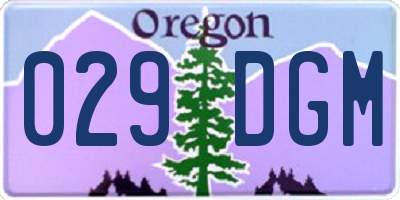 OR license plate 029DGM