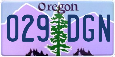 OR license plate 029DGN