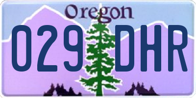 OR license plate 029DHR