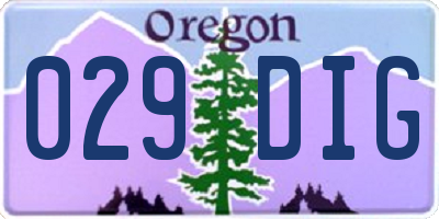 OR license plate 029DIG