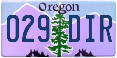 OR license plate 029DIR