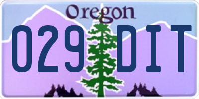 OR license plate 029DIT