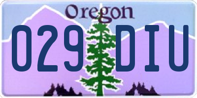 OR license plate 029DIU